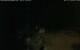 Walton 15.07.2025 04:08