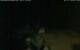 Walton 06.07.2025 04:08