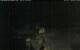 Walton 08.07.2025 04:08