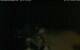 Walton 15.06.2025 04:08