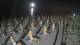 Castiglione della Pescaia 10.07.2025 04:13