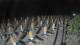 Castiglione della Pescaia 15.05.2025 04:14