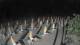 Castiglione della Pescaia 18.03.2025 04:14