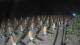 Castiglione della Pescaia 09.06.2025 04:14