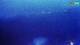 Kolan (Pag) 30.04.2025 04:15
