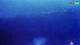 Kolan (Pag) 09.07.2025 04:14