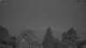Huntlosen 15.06.2025 04:15
