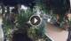 Gatlinburg, Tennessee 14.06.2025 04:17