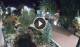 Gatlinburg, Tennessee 29.04.2025 04:18