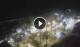 Puerto de la Cruz (Teneriffa) 01.07.2025 04:17
