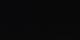 Belalp 30.04.2025 04:59