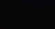 Altaussee 09.06.2025 04:18