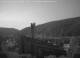 Tennenbronn 09.06.2025 04:48
