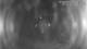 Castaway Island 22.03.2025 04:48