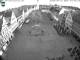 Pfaffenhofen a. d. Ilm 15.06.2025 04:48