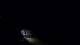 Jurmala 15.07.2025 04:26