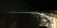 Nizza 30.04.2025 04:19