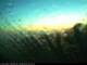 Baltrum 09.05.2025 04:48