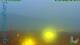Langenegg 09.06.2025 04:19