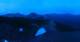 Planneralm 07.06.2025 04:20