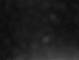 Costa Fortuna 01.05.2025 04:20