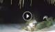 Bwejuu (Sansibar) 01.05.2025 04:28