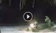 Bwejuu (Sansibar) 09.06.2025 04:28