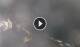 Furore 01.05.2025 04:21
