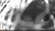 Agno (Luganersee) 11.07.2025 04:21