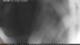 Torbole (Lac de Garde) 30.04.2025 04:22