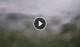 Syðrugøta 24.06.2025 04:22