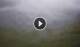 Syðrugøta 01.06.2025 04:22