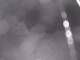Rhede 30.04.2025 04:23
