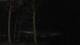 Houghton Lake, Michigan 29.04.2025 04:49