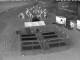 Heringsdorf (Usedom) 30.04.2025 04:25