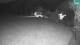 Medvode 01.05.2025 04:26