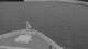 Norwegian Jade 30.04.2025 04:27