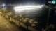 Zadar 14.07.2025 04:31
