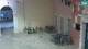 Rovigno 15.06.2025 04:27
