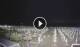 Riccione 09.07.2025 04:28