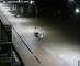 De Panne 30.04.2025 04:29