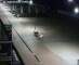 De Panne 20.05.2025 04:29