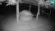 Lubiana 30.04.2025 04:29