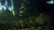 Brijuni 09.06.2025 04:29