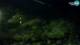 Brijuni 09.05.2025 04:29