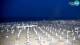 Bibione 01.07.2025 04:28