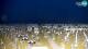 Bibione 18.05.2025 04:29