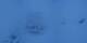 Riffelalp 23.04.2025 04:21