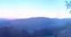 Zierling 04.07.2025 04:29