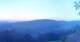 Zierling 15.06.2025 04:29